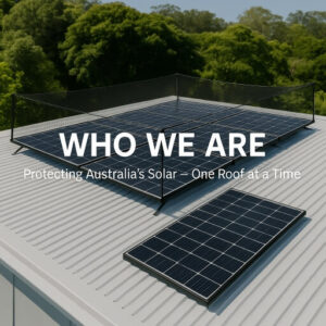 about us, who we are hailprotect.com